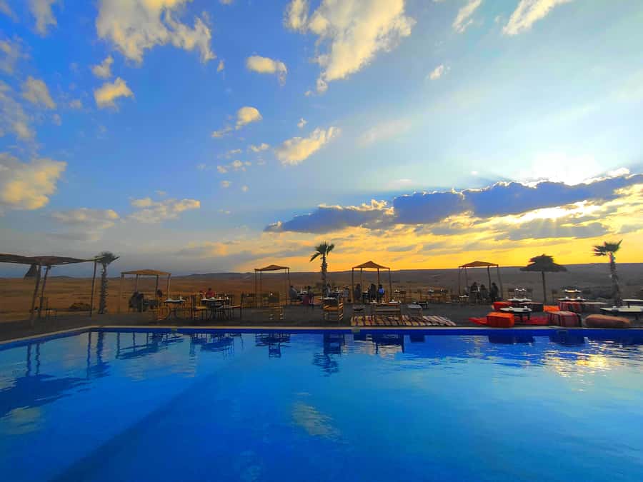 From Marrakech: Agafay Desert Sunset Dinner with Live Show - A short stop at the argan oil cooperative
