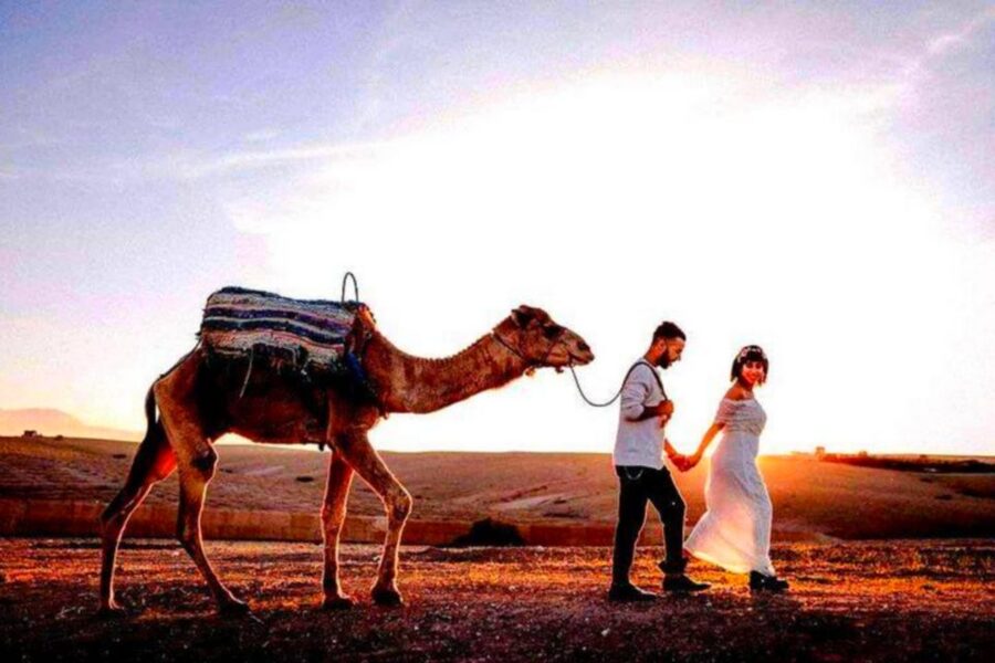 From Marrakech: Agafay Desert Sunset Dinner with Live Show - Camel rides and quad biking: read the fine print