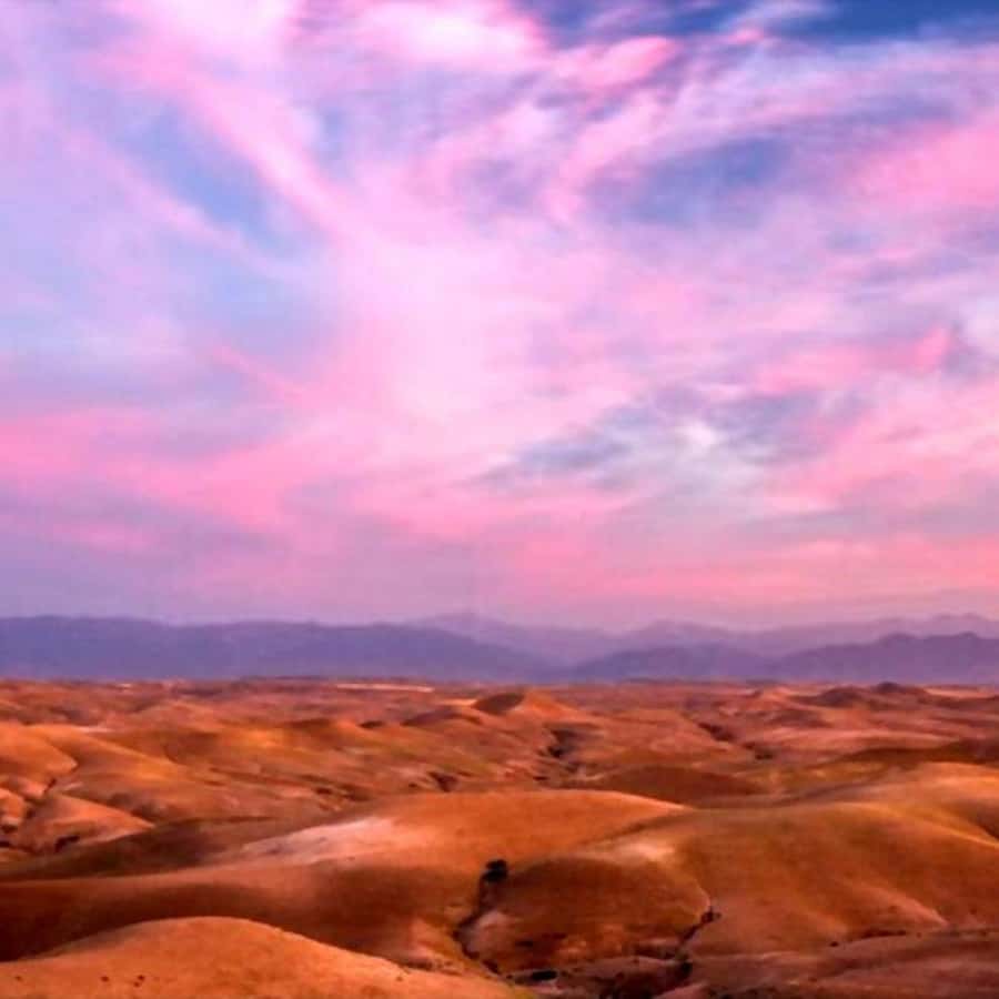 From Marrakech: Agafay Desert Sunset Dinner with Live Show - What dinner is really like