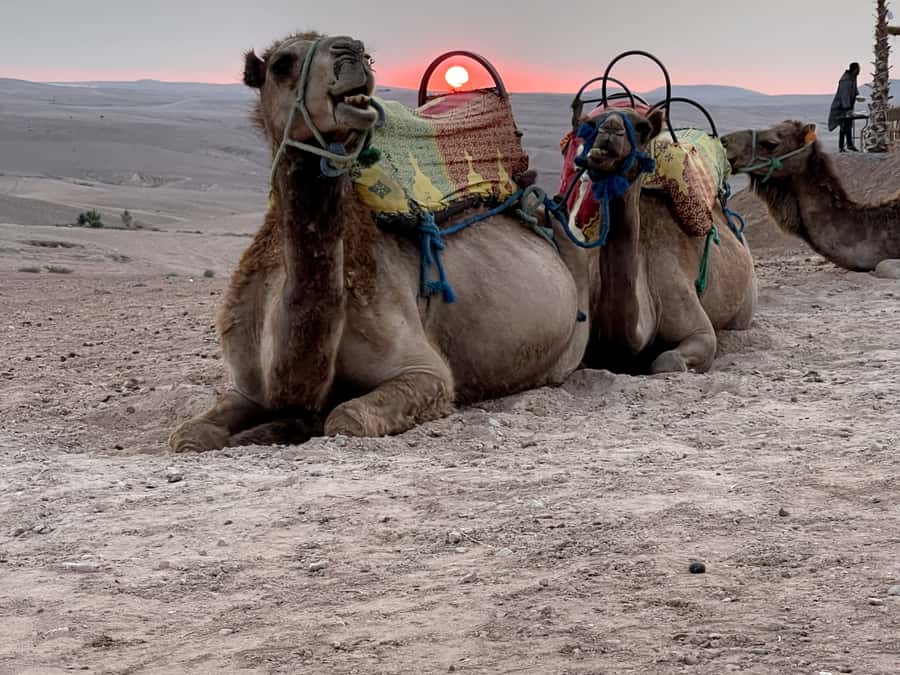 From Marrakech: Agafay Desert Sunset, Quad Biking, & Dinner - Sunset, photos, and the pool stop