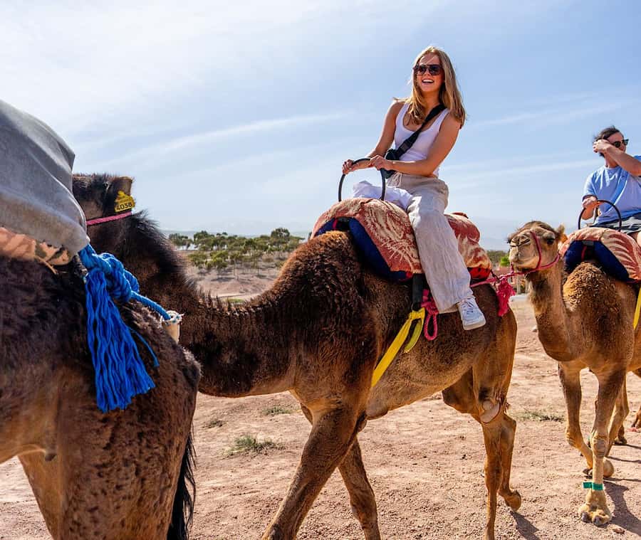 From Marrakech: Agafay Sunset Camel Tour with Dinner & Show - A camel ride made for sunset, not a full trek