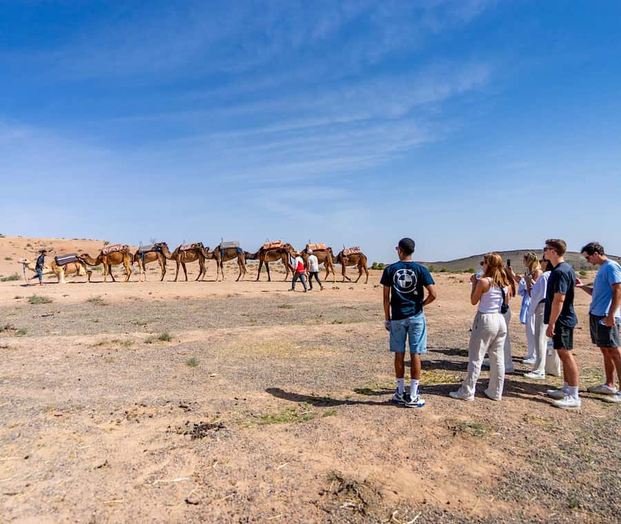 From Marrakech: Agafay Sunset Camel Tour with Dinner & Show - Moroccan tea, campfire, and the Berber tent