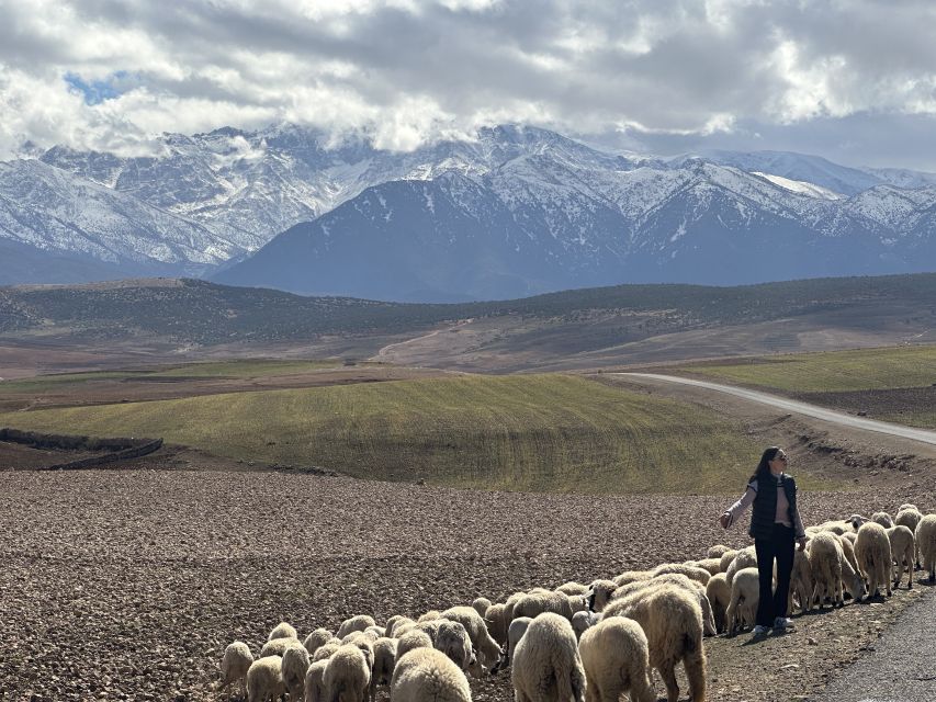 From Marrakech: Atlas Mountains 4-Day Hike with Hotels - Why four days works better than a quick Atlas outing