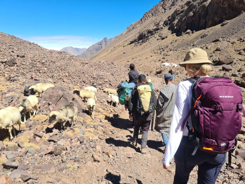 From Marrakech: Atlas Mountains 4-Day Hike with Hotels - Is the $176 price good value?