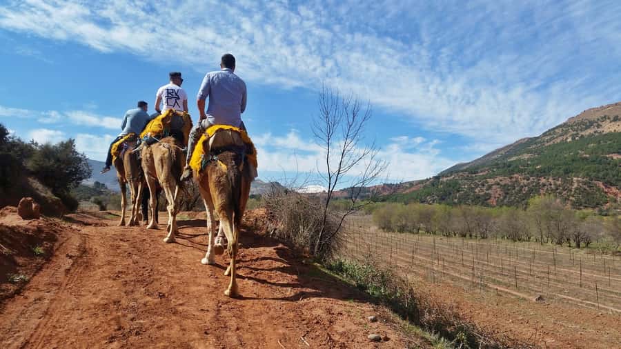 From Marrakech: Atlas Mountains 45-Minute Horseback Ride - Viewpoints over the Asni Valley and Al Haouz plains