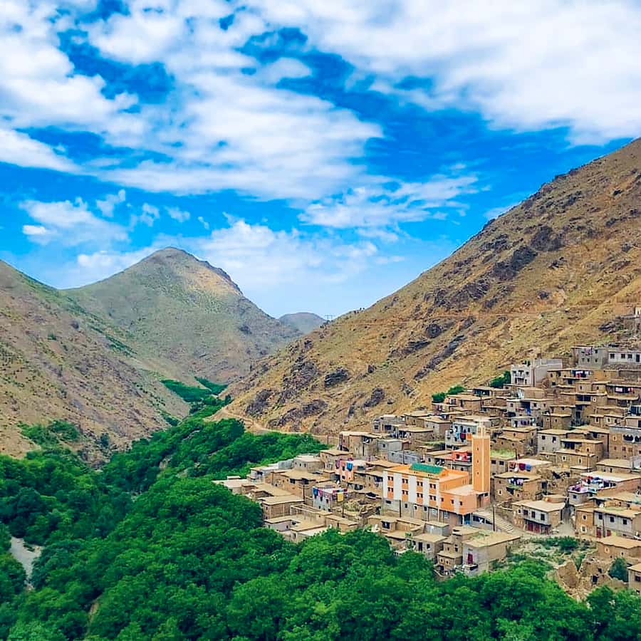 From Marrakech: Atlas Mountains and Berber Village Day Trip - The Tizi n Tamatert viewpoint at 2,280 meters