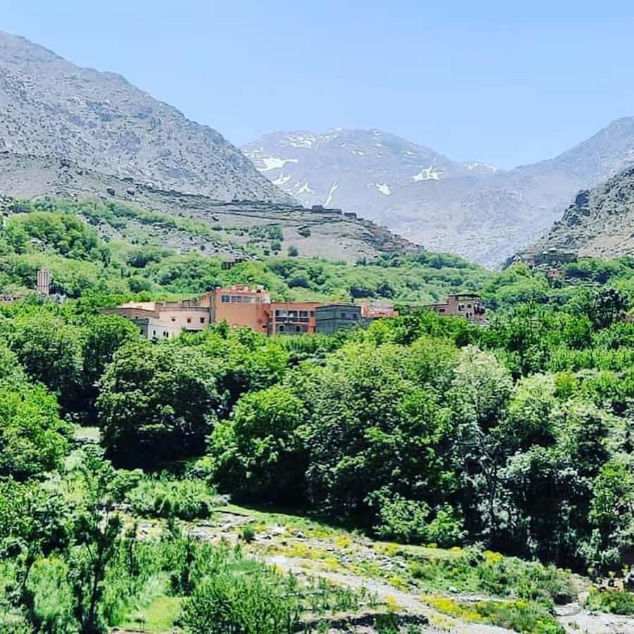 From Marrakech: Atlas Mountains and Berber Village Day Trip - Guides, drivers, and the human side of the outing
