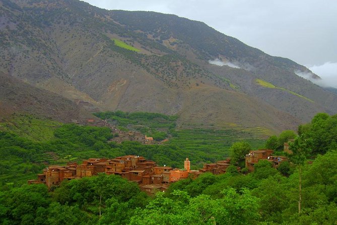 From Marrakech: Atlas Mountains and Berber Villages Day Trip - A 15-minute camel ride in the foothills