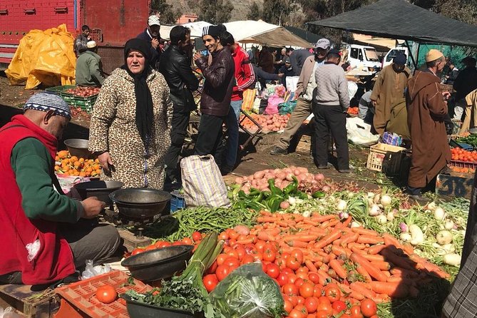 From Marrakech: Atlas Mountains and Berber Villages Day Trip - Lunch with a Berber family