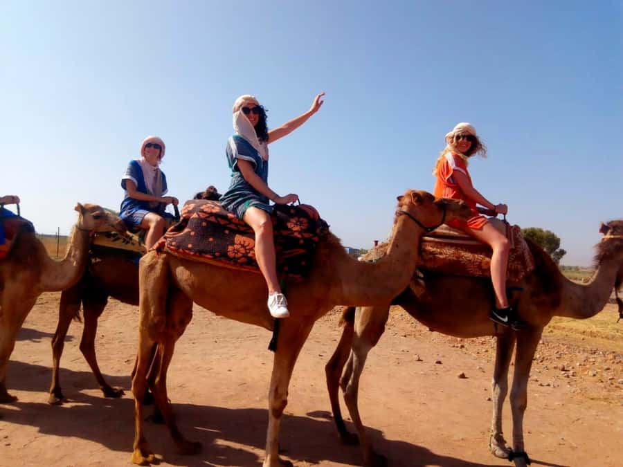From Marrakech: Atlas Mountains and Three Valleys Day Trip - Hiking to the waterfalls through Berber country