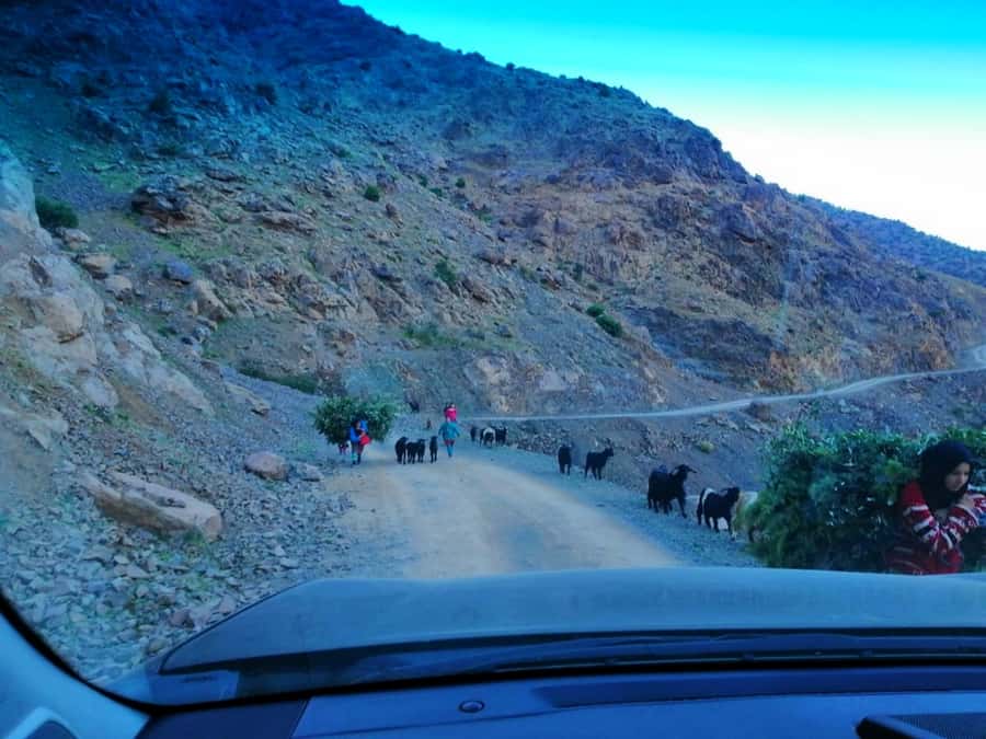 From Marrakech: Atlas Mountains and Three Valleys Day Trip - Is $28 good value for a full day outside Marrakech?