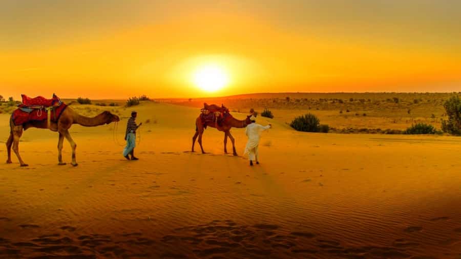 From Marrakech: Atlas Mountains and Three Valleys Day Trip - Argan oil and the village stop at Azrou