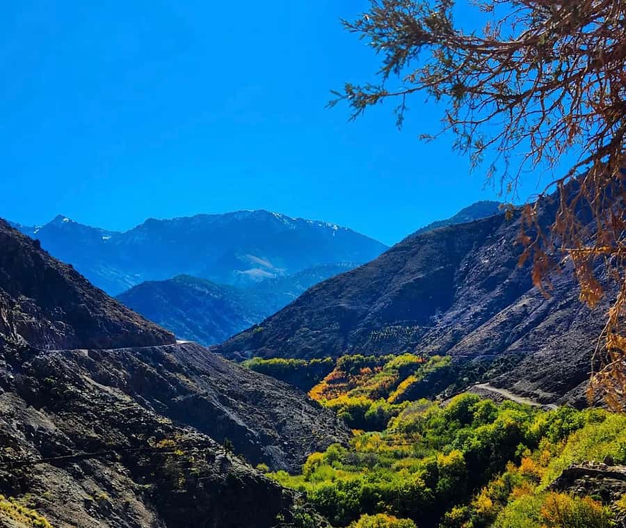From Marrakech: Atlas Mountains Day Trip with Camel Ride - What to bring and how to prepare