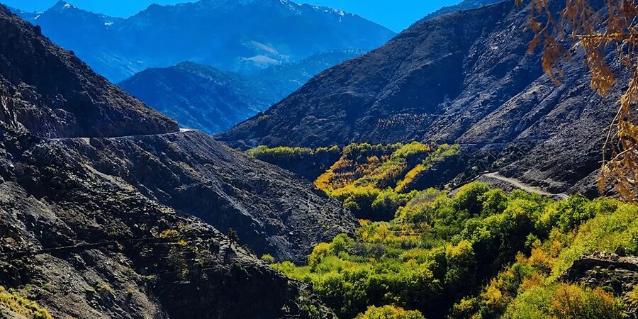 From Marrakech: Atlas Mountains Day Trip with Camel Ride - Mint tea, Berber hospitality, and lunch in Ait Souka