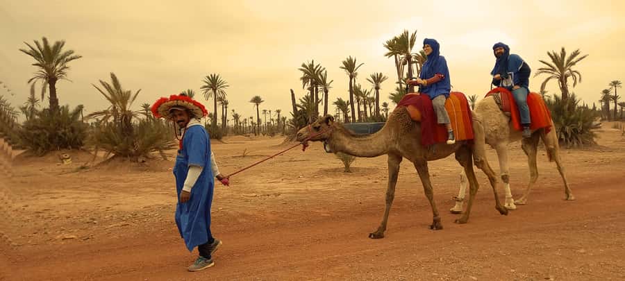From Marrakech: Camel ride in the oasis palmeraie Grove - Key things to know before you book