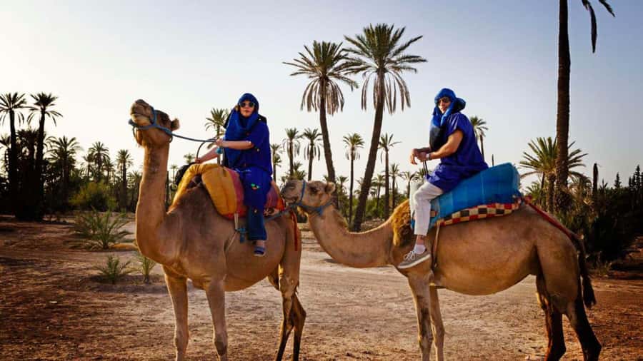 From Marrakech: Camel ride in the oasis palmeraie Grove - Getting dressed for the camel ride