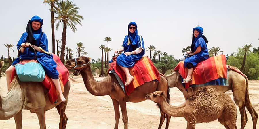 From Marrakech: Camel ride in the oasis palmeraie Grove - Guides, drivers, and the small-group feel