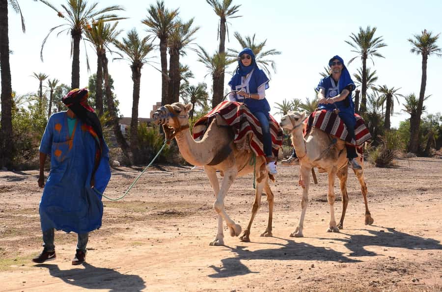 From Marrakech: Camel ride in the oasis palmeraie Grove - Is $18 a good deal?