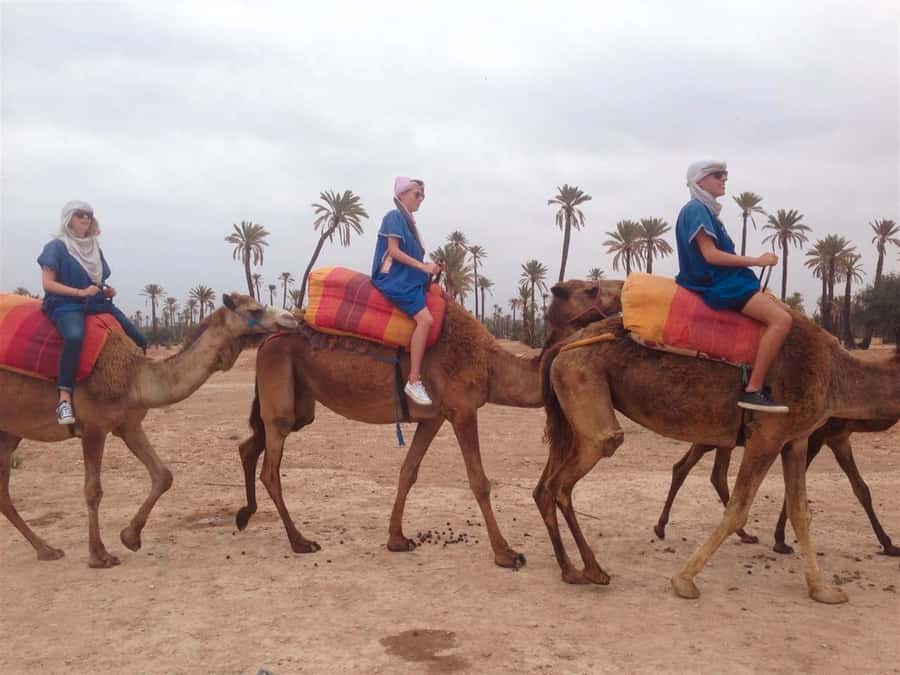From Marrakech: Camel Ride, Quad Bike & Spa Full-Day Trip - Leaving Marrakech for the Palmeraie