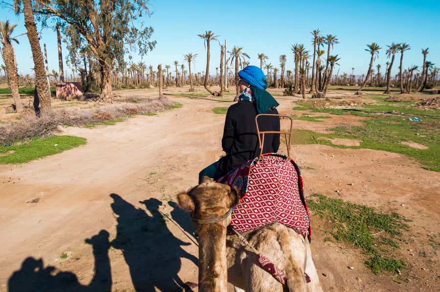 From Marrakech: Camel Ride, Quad Bike & Spa Full-Day Trip - Quad biking through the Palmeraie