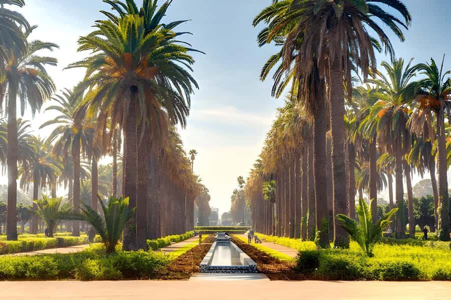 From Marrakech: Casablanca Day Trip by van - Who Should Book This Casablanca Day Trip?