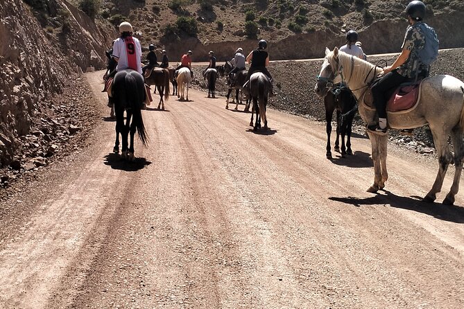 From Marrakech Day Hike to Tizi Mazaik Mountain 2400m - Breakfast at an Argan Oil Cooperative