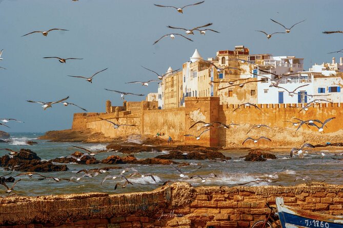 From Marrakech: Day Journey to Essaouira Mogador - Camel riding and the argan oil cooperative