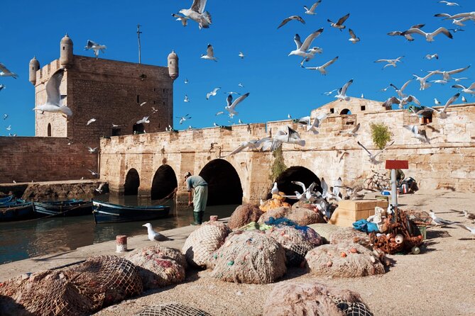 From Marrakech: Day Journey to Essaouira Mogador - Imlil, Asni, and Aroumd: the appeal of village life