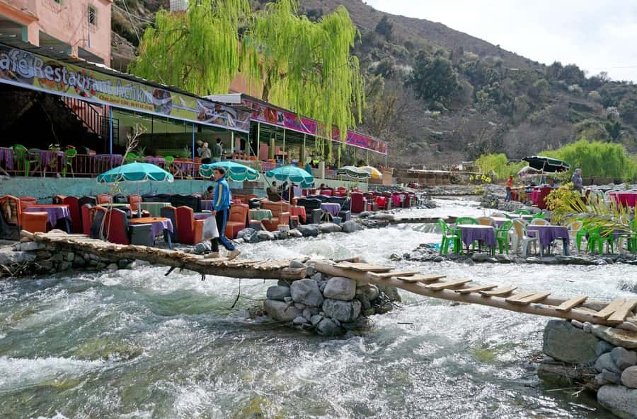 From Marrakech: Day Trip Ourika Valley, High Atlas Mountains - What the argan oil cooperative adds