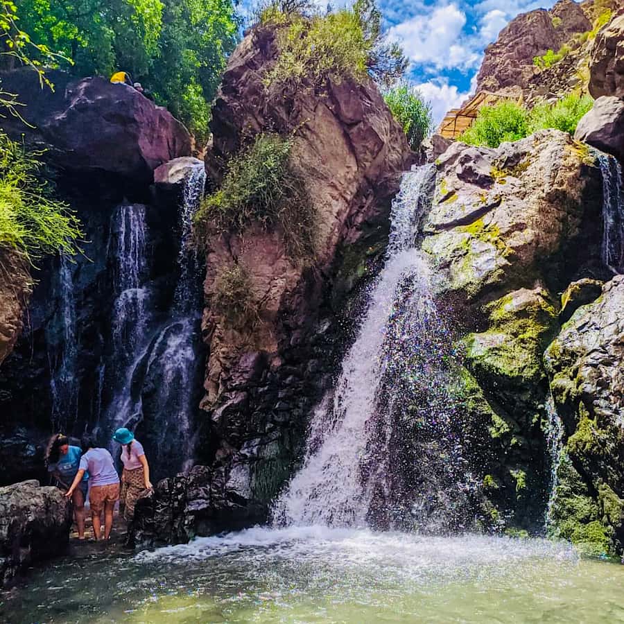 From Marrakech: Day Trip to Anima Garden and Imlil Valley - Guides, drivers, and the small-group advantage