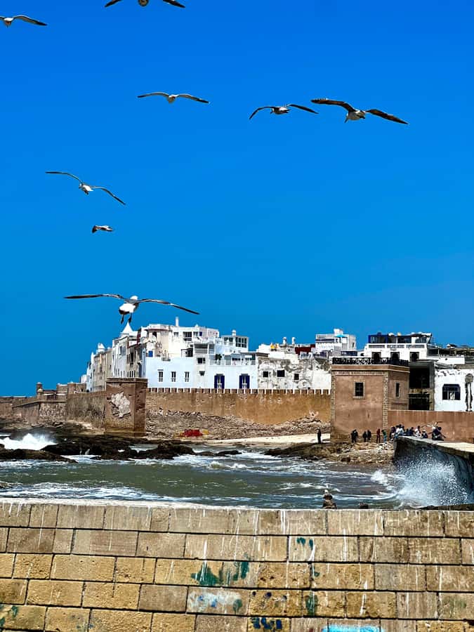 From Marrakech: Day Trip to Essaouira with Transfers - At a glance: what makes this trip useful