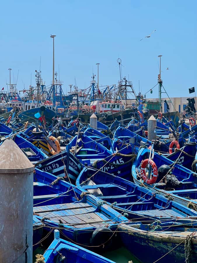From Marrakech: Day Trip to Essaouira with Transfers - Chichaoua: a short break, not a major attraction