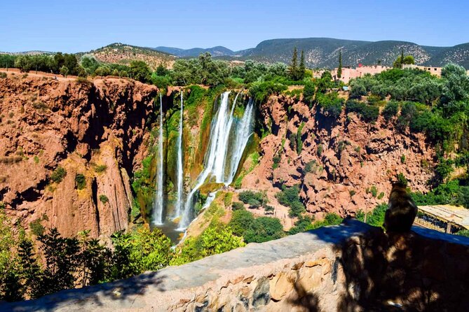 From Marrakech: Day Trip to Ouzoud Waterfalls Guided & Boat Ride - What the $18.61 price really buys