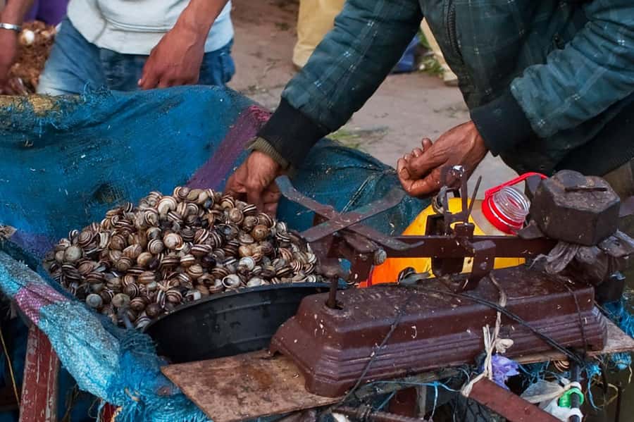 From Marrakech: Essaouira & Atlantic Coast Full-Day Trip - Drivers Make a Big Difference