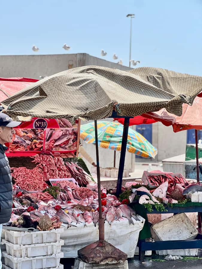 From Marrakech: Essaouira Coastal City Day Trip - Four hours in Essaouira: how to spend them well