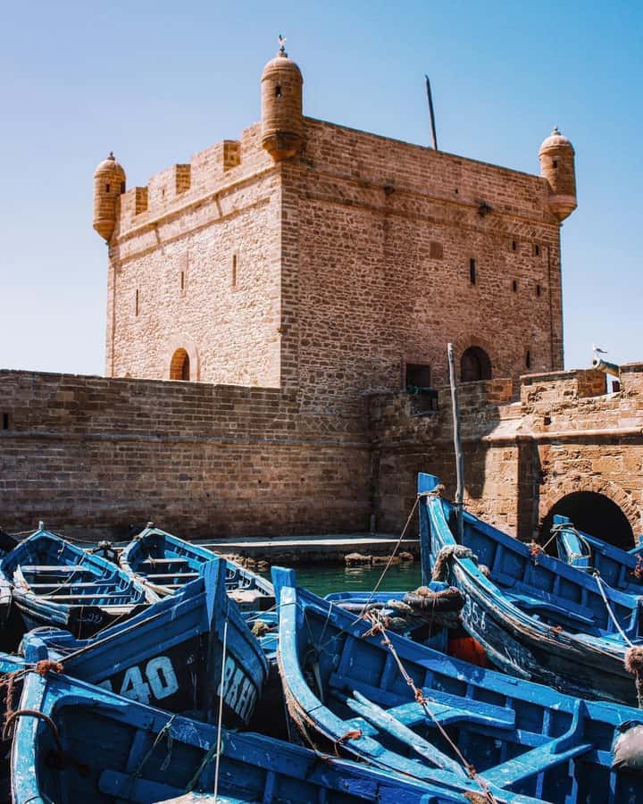 From Marrakech: Essaouira Coastal City Day Trip - Is four hours enough?