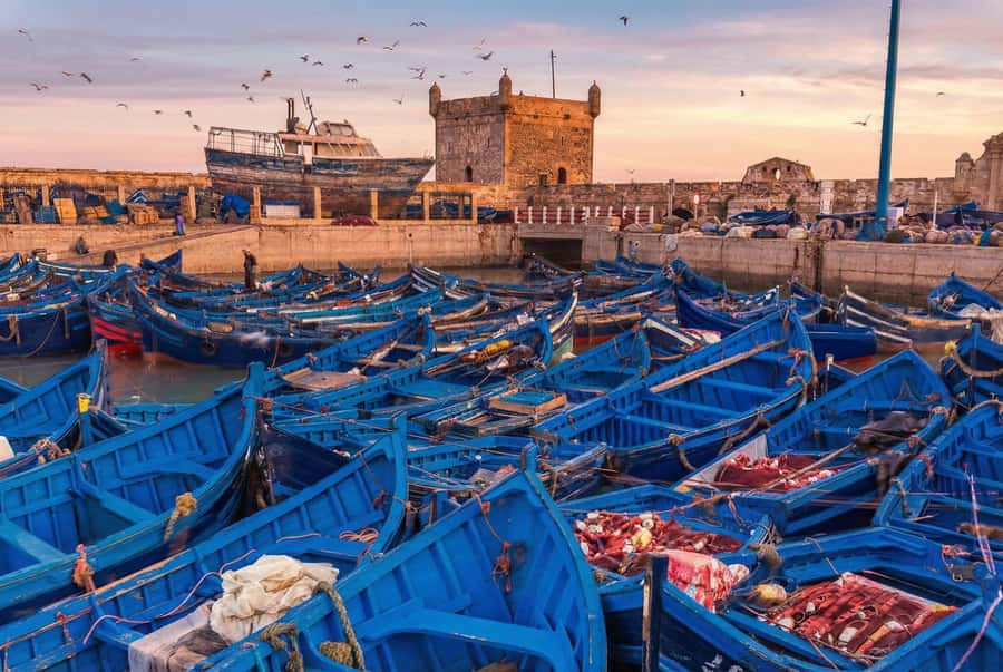 From Marrakech: Essaouira Coastal Escape with Lunch - The morning road west from Jemaa el-Fna