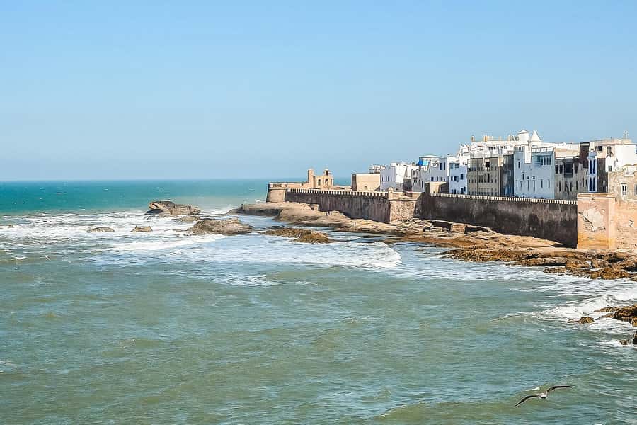 From Marrakech: Essaouira Day Tour with Optional Activities - Who will enjoy this day trip most