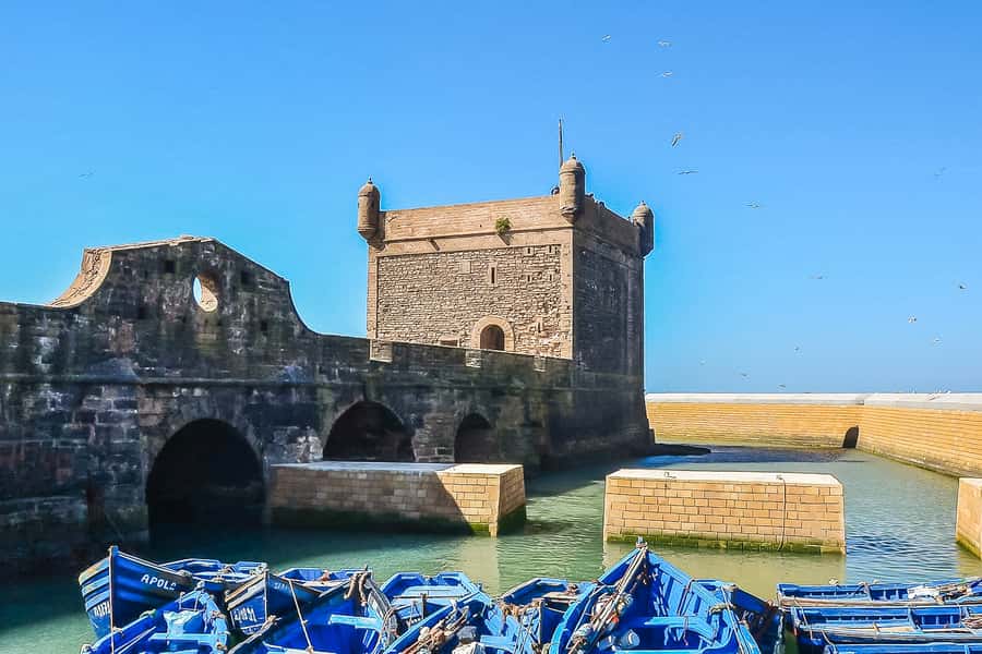 From Marrakech: Essaouira Day Tour with Optional Activities - Optional quad, camel, and horse rides