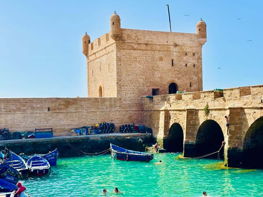 From Marrakech: Essaouira Day Trip with Beach Activities - The 20-minute argan oil cooperative stop