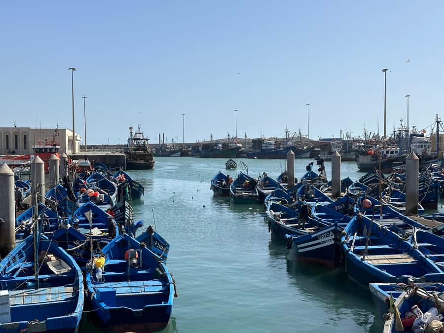 From Marrakech: Essaouira day Trip with camel, horse & quad - Key points at a glance