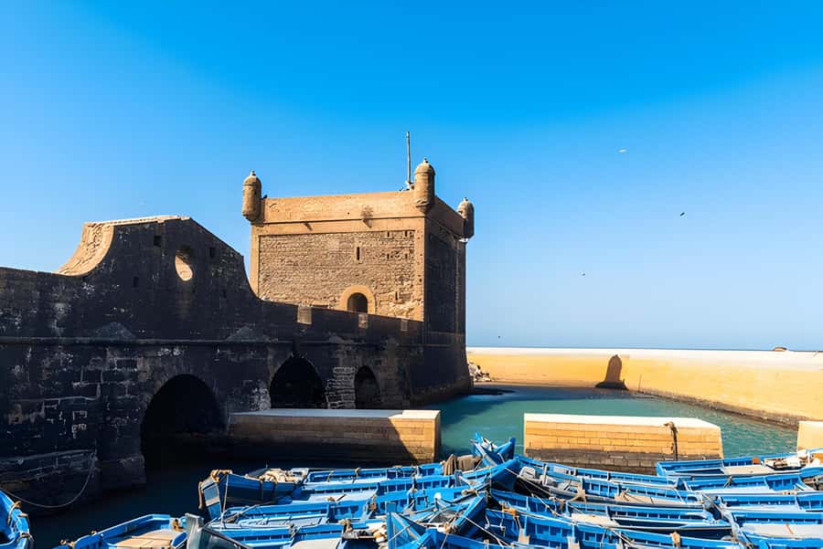 From Marrakech: Essaouira day Trip with camel, horse & quad - The argan cooperative and the 20-minute stop
