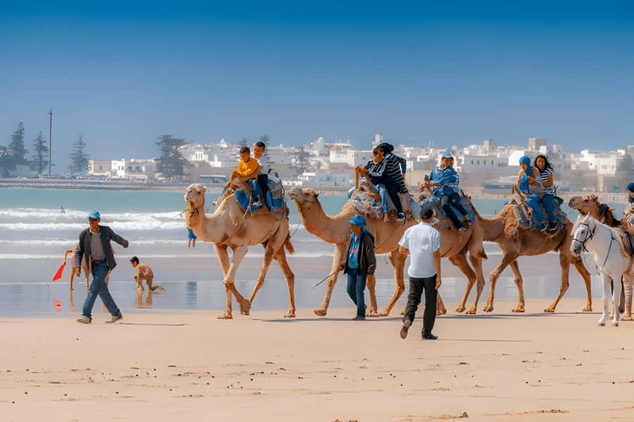 From Marrakech: Essaouira day Trip with camel, horse & quad - Essaouira’s old medina and artisan streets
