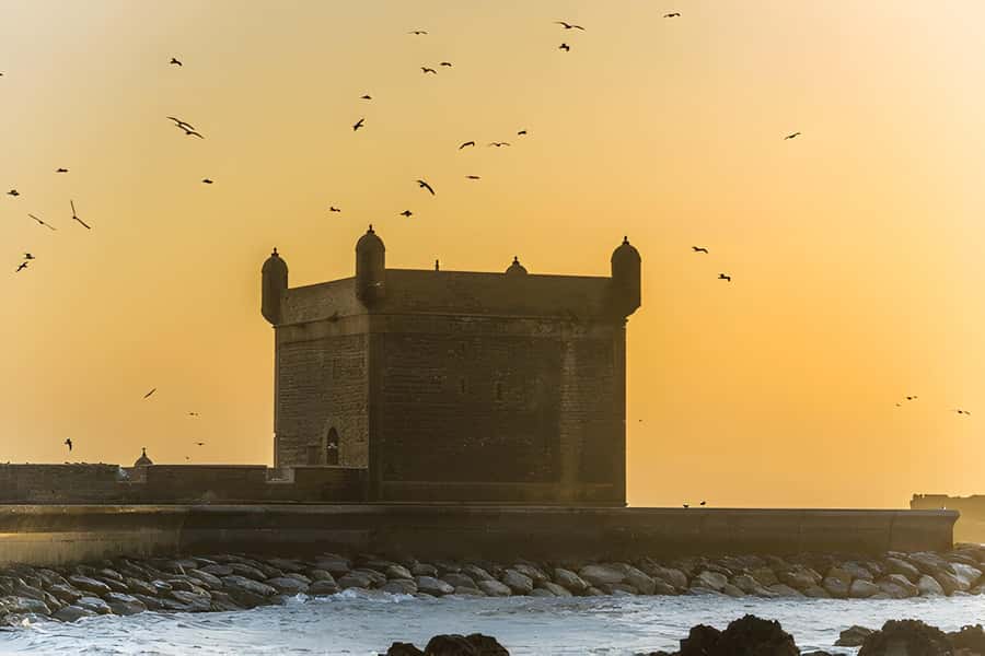 From Marrakech: Essaouira day Trip with camel, horse & quad - Who should book this day trip?