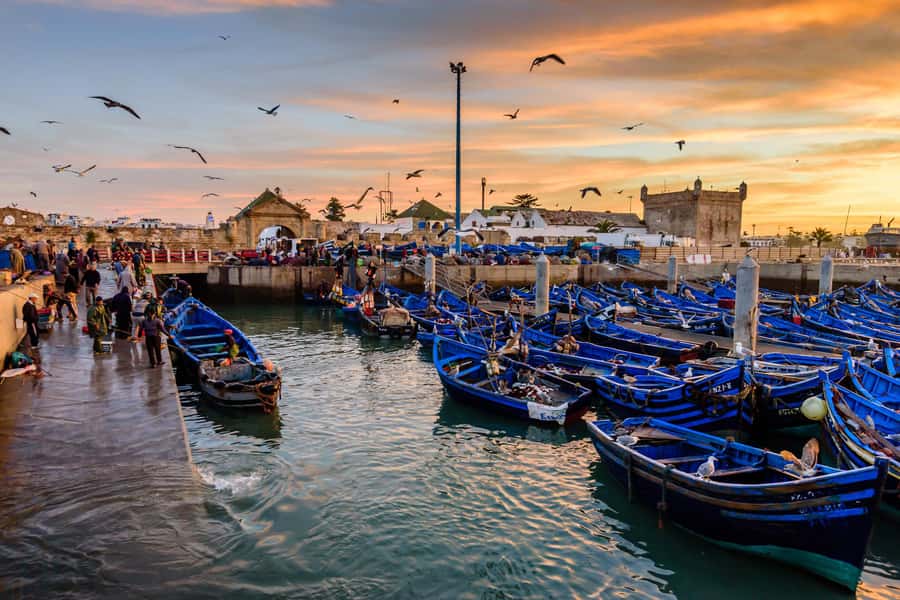 From Marrakech: Essaouira Day Trip with Hotel Pickup - Essaouira beach and the Atlantic wind