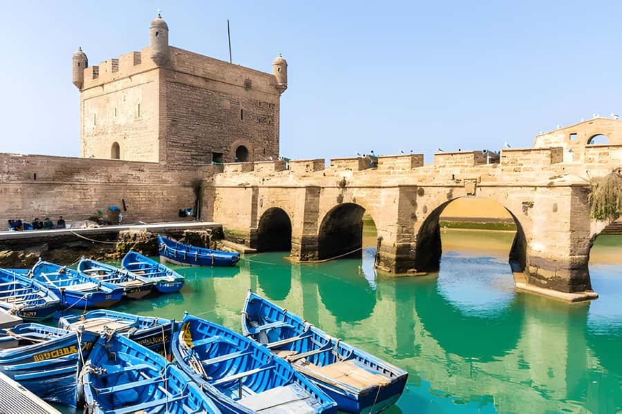 From Marrakech: Essaouira Full-Day Trip with Activities - The staff can make a real difference