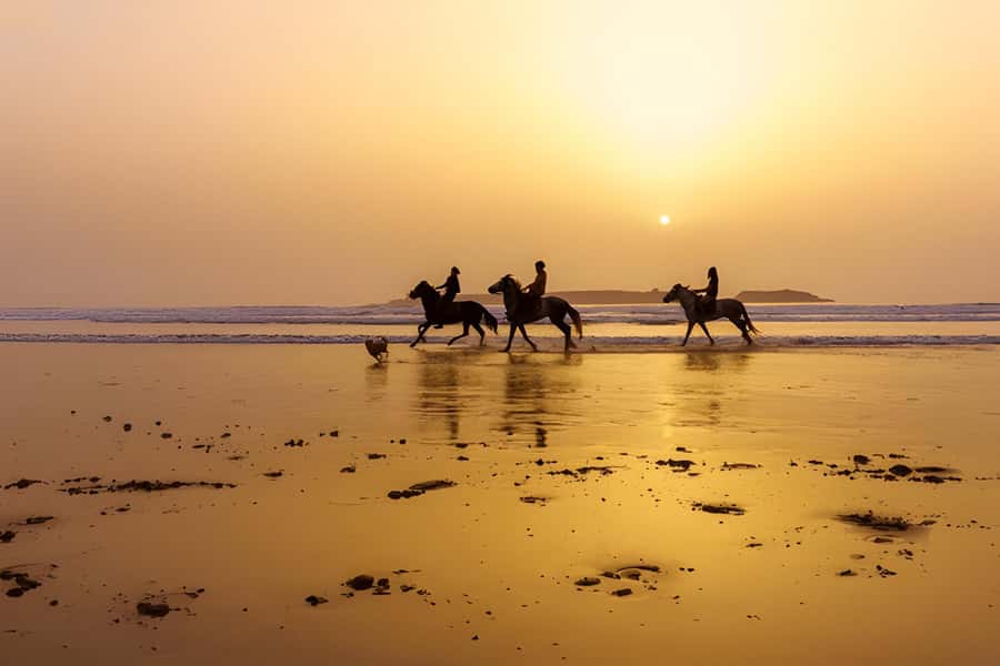 From Marrakech: Essaouira Full-Day Trip with Activities - Optional camel, horse, and quad rides