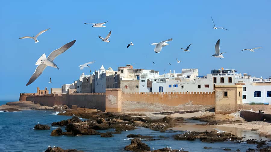 From Marrakech: Essaouira Private Full-Day Trip - Why Essaouira makes a good break from Marrakech