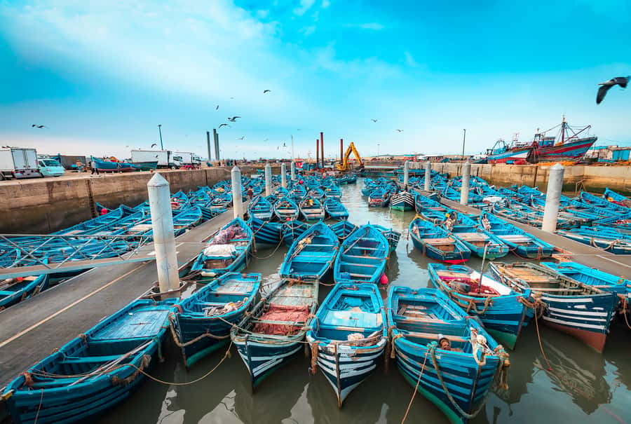 From Marrakech: Essaouira Private Full-Day Trip - Shopping, workshops, and the private-tour tradeoff