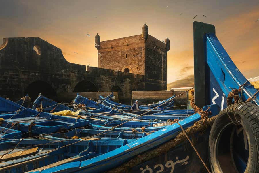 From Marrakech: Essaouira Private Full-Day Trip - Who should book this day trip